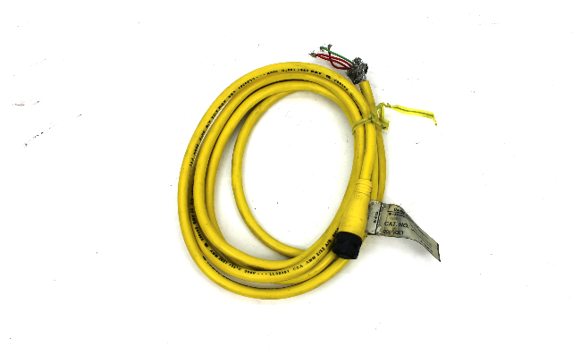 Brad Harrison 704000D02F060 Single-Ended Cordset, 4 Pole,1/2"-20 UNF