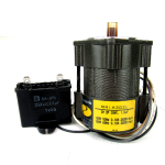 Panasonic Matsushita M4IA3G2L Induction Motor, 3 Watt, 2P, 100V AC, 0.10 Amp, 2625/3250 RPM, NEW