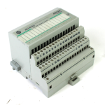 Allen Bradley 1794-OB16 Flex I/O Output Module w/ 1794-TB2 Terminal Base