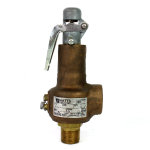 Watts Ind. 41A Safety Relief Valve, 3/4"