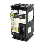 Square D FHL26000M4200 Circuit Breaker, 100A, 2-Pole, 600V