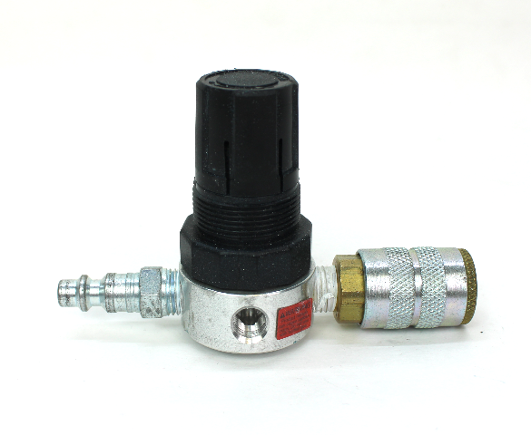 Watts Fluidair R374-02CG Pneumatic Regulator