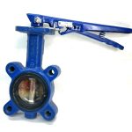 Unknown Blue 2.5" Butterfly Valve